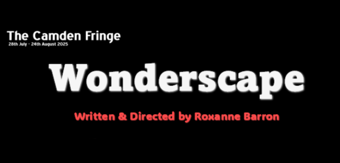 Canal Cafe Theatre Banners (12)
